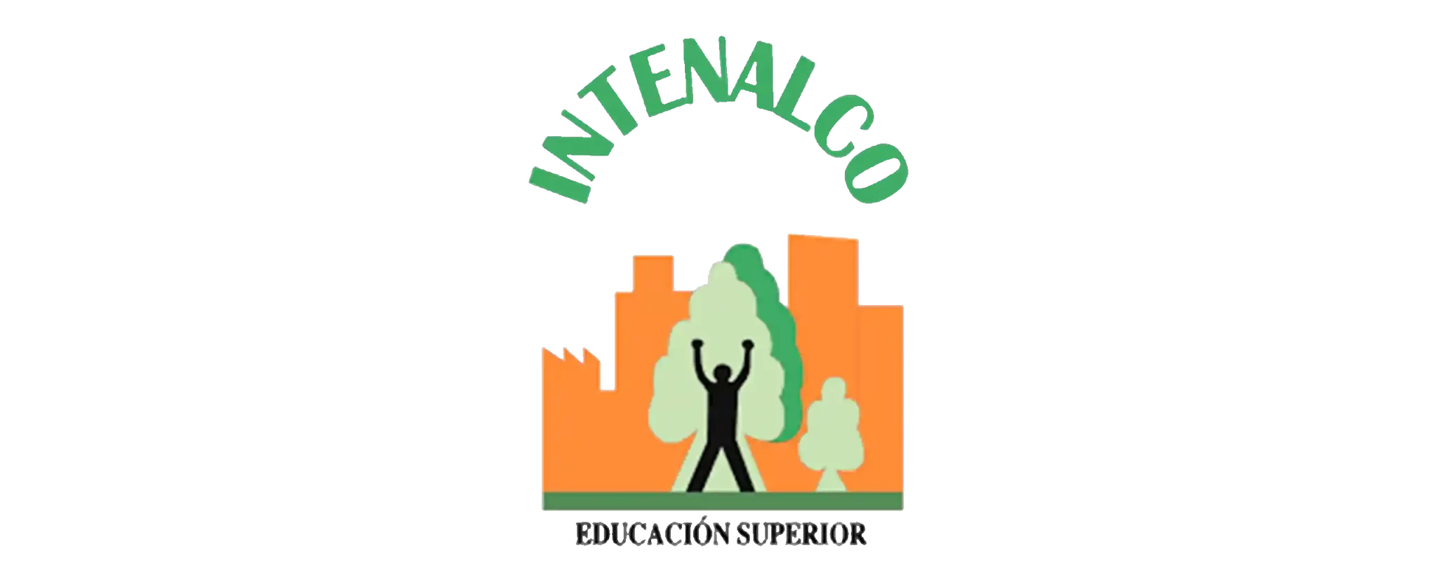 logointenalco